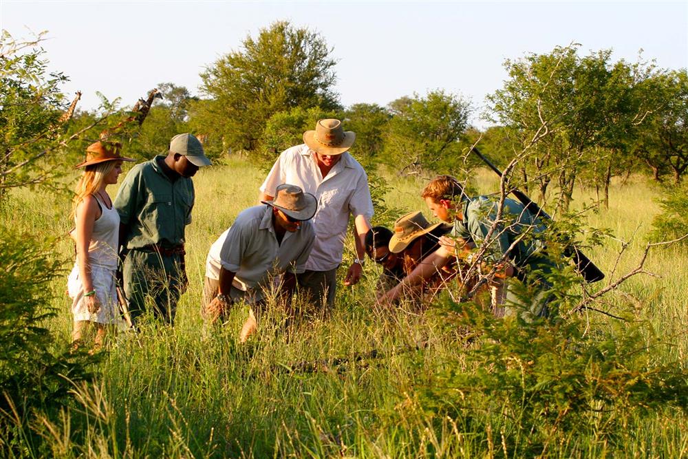 Rhino Post Walking Safaris